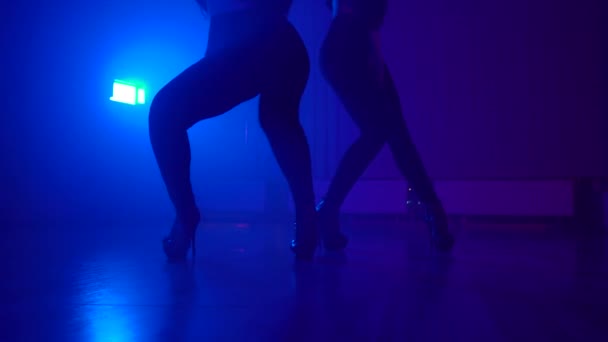 Meninas bonitas em roupas sensuais dançando na festa em boate — Vídeo de Stock