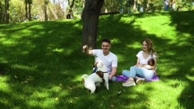 Genç bir aile yaz gününü bebek ve evcil hayvan Jack Russell Terrier ile geçiriyor.