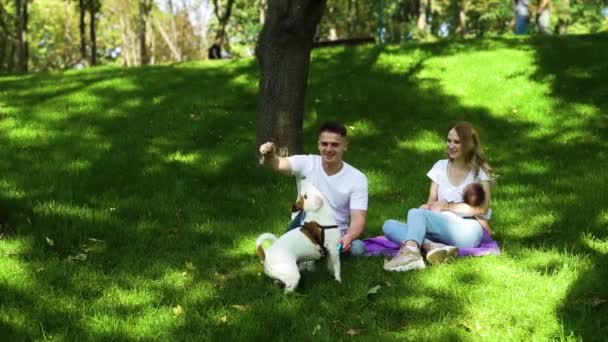 Joven familia pasando el día de verano con el bebé y mascota Jack Russell Terrier — Vídeos de Stock