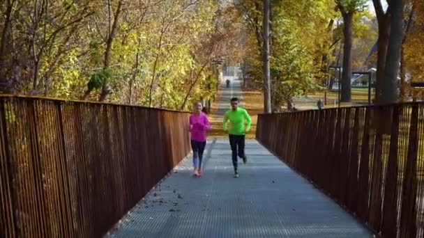 Молода сім'я біжить разом через міст в осінньому парку — стокове відео