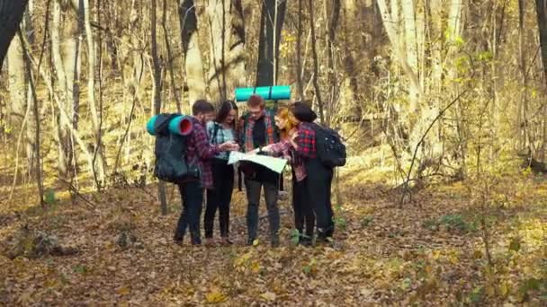Туристы смотрят на бумажную карту осеннего леса — стоковое видео
