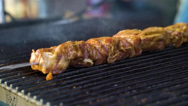 Мясо свинины на гриле из-за дыма на пикнике — стоковое видео