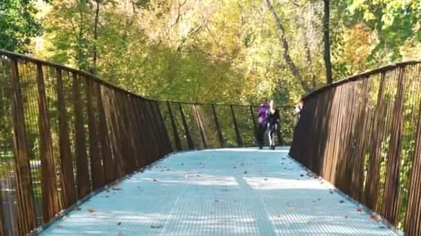 Vrouwelijke joggers op metalen brug in herfstpark — Stockvideo