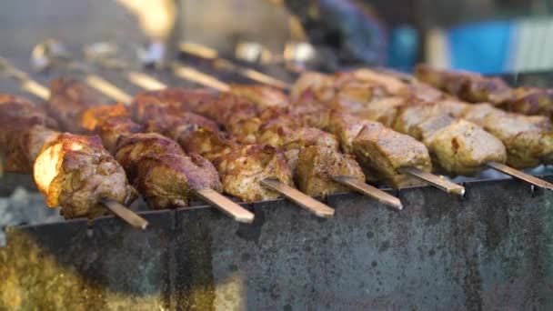 Saboroso carne de porco assar na grelha na festa de churrasco — Vídeo de Stock