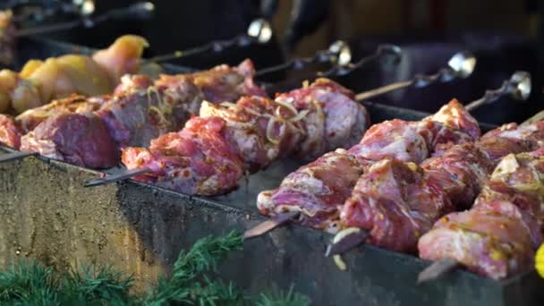 Grilování vepřového a kuřecího masa na vánočním trhu — Stock video