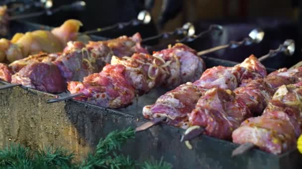 Grilling pork and chicken meat on Christmas holiday market — Stock Video