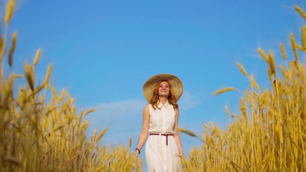 Joyeux rousse fille marche parmi les épis de blé dans la saison des récoltes — Video