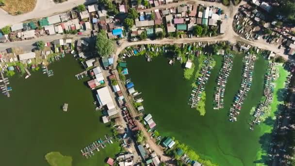 Aereo dall'alto verso il basso del villaggio di pescatori che soffrono di alghe verdi in acqua del porto — Video Stock