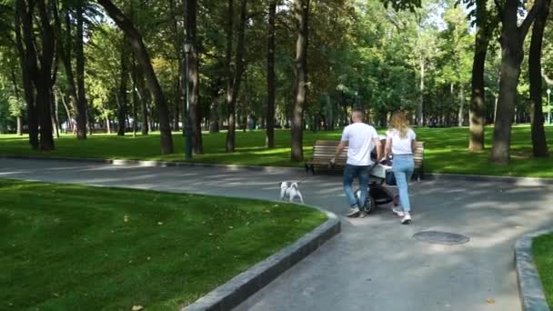 Щаслива сім'я з дитячою коляскою і собакою, що йде в зеленому парку — стокове відео