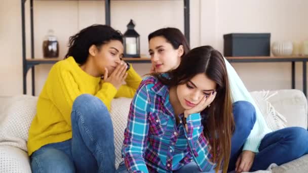 Meninas indelicadas espalhando fofocas sobre bela colega de quarto — Vídeo de Stock