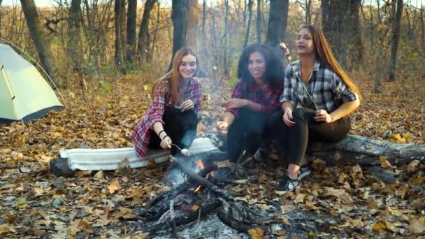 Meninas jovens assar marshmallows sobre o fogo no acampamento — Vídeo de Stock