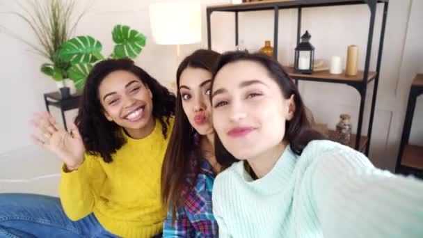 Cheerful girl taking selfie photo with multiracial roommates at home — Stockvideo