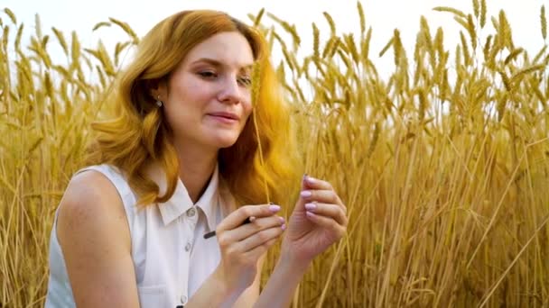 Cheerful redhead girl playing with wheat ear in field in summer — Stock Video