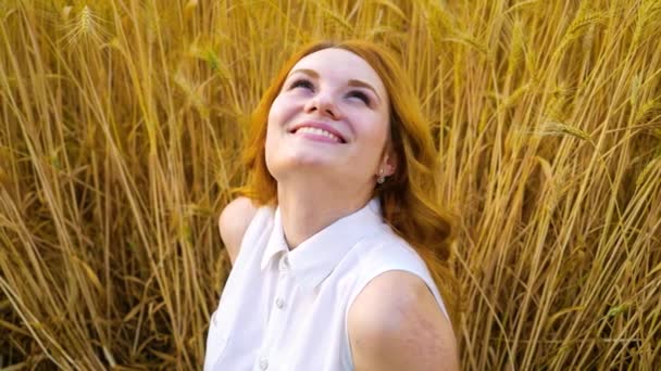 Chica pelirroja positiva sentada en el campo de trigo y mirando hacia arriba en verano — Vídeo de stock