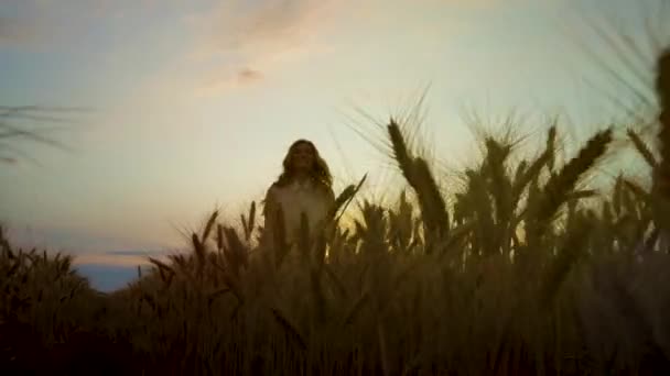 Счастливая девушка веселится в пшеничном поле на закате — стоковое видео
