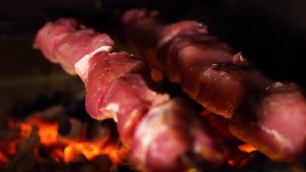 Closeup of roasting meat on skewers on charcoal grill — Stock Video