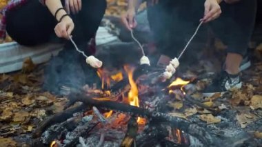 Female tourists roasting marshmallows over campfire in autumn forest
