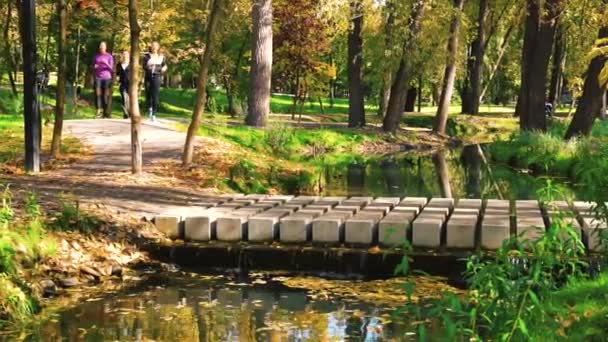 Jóvenes chicas en forma corriendo sobre puente de cemento en el parque — Vídeos de Stock