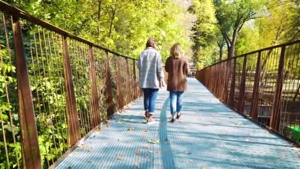 Sightseers walking across modern bridge in public park — Stock video