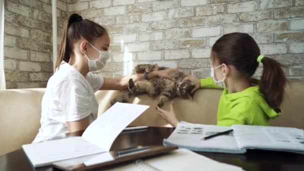 Meninas em máscaras médicas brincando com gato em vez de estudar — Vídeo de Stock