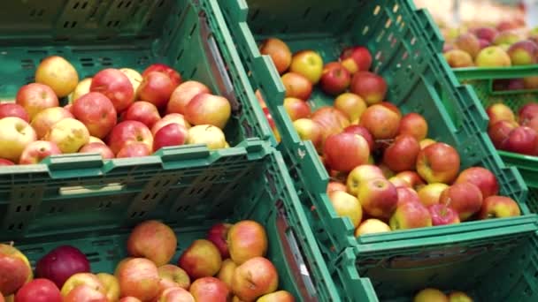 Frische Äpfel in Plastikboxen im Lebensmittelladen — Stockvideo