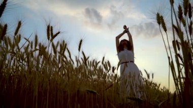 Hasat mevsiminde gün batımında buğday tarlasında duran romantik kız