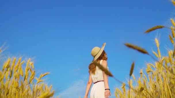 Θετική κοκκινομάλλα κορίτσι περπάτημα στο χωράφι με το σιτάρι σε δίκαιη καιρικές συνθήκες το καλοκαίρι — Αρχείο Βίντεο