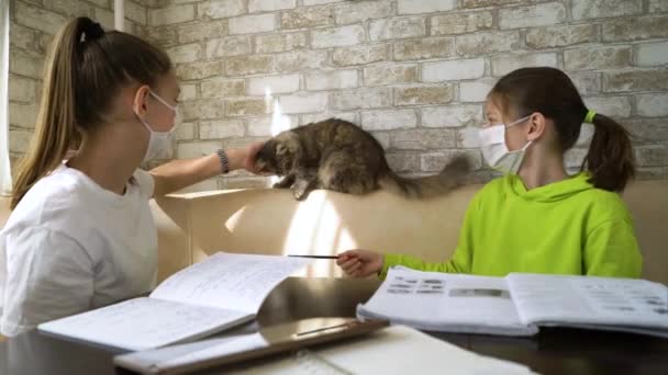 Écoliers à domicile en masques médicaux jouant avec le chat pendant COVID — Video