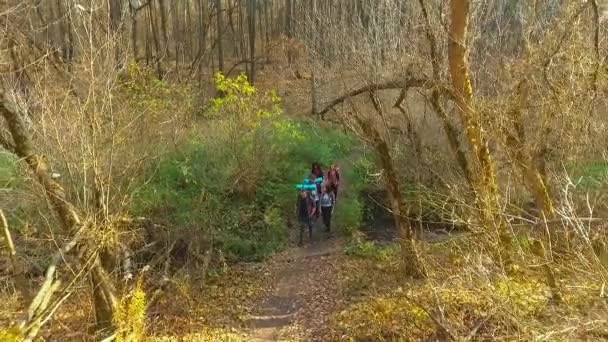 Jóvenes excursionistas en gira a pie en el bosque de otoño en un día soleado — Vídeos de Stock