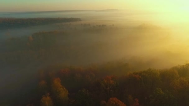 Sun rising over autumn forest covered with thick fog — Stock Video