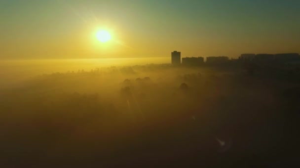 Krásný východ slunce nad zamlženým lesem u města na podzim — Stock video