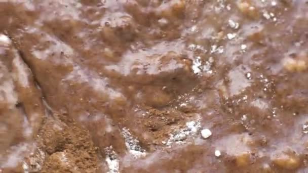 Farine macro, cacao en poudre et autres ingrédients pour cupcakes au chocolat — Video