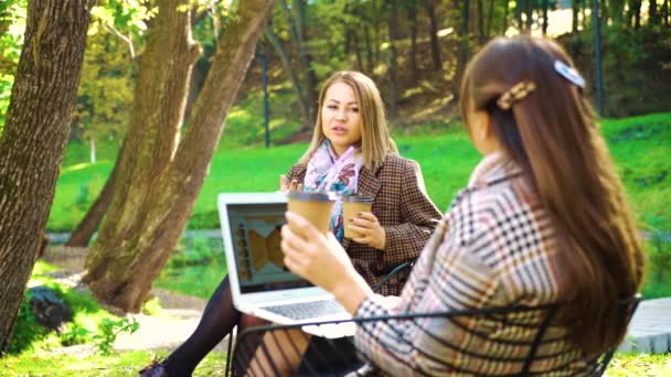 公園での会議に関する戦略を議論するビジネス女性 — ストック動画