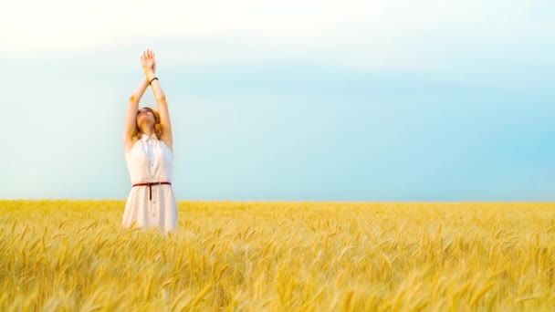 Hermosa chica levantando las manos en el campo de trigo en la temporada de cosecha — Vídeos de Stock