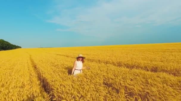 Mutlu kız yazın buğday tarlasında gün geçiriyor. — Stok video