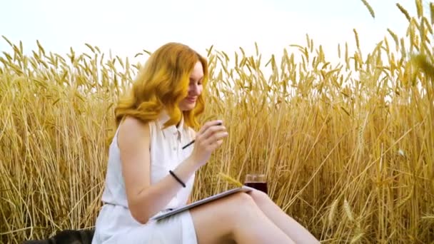 Hezká dívka s červenými vlasy kreslení a pití vína na piknik v pšeničném poli — Stock video