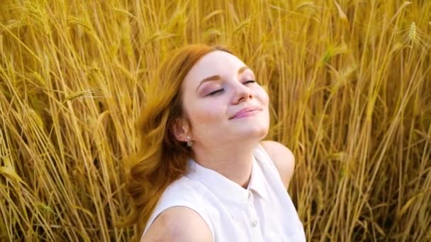 Joyful redhead girl posing in wheat field in harvest season — Stock Video