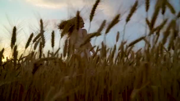 Wesoła ruda dziewczyna spaceruje po polu pszenicy o zmierzchu — Wideo stockowe