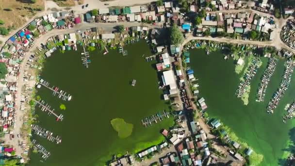 Повітря зверху вниз рибалки поселення в гавані з зеленими водоростями у воді — стокове відео