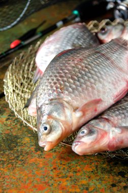 çeşitli havuz balığı çubuk kafes float Balık tutma