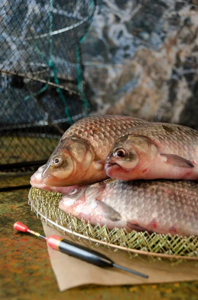 Grup havuz çubuk kafes float 