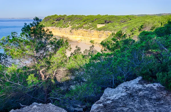 Puerto verde y playa escondidos cerca de Tarragona, España — Foto de Stock