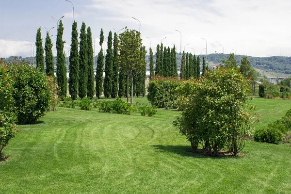 Krajobraz parku z drzewami — Zdjęcie stockowe
