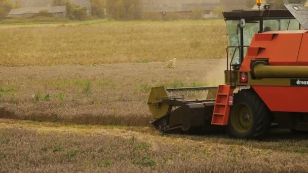 2016 21 augustus, Litouwen, Ukmerges regio. Harvester machine voor het oogsten van tarwe veld werken. Landbouw — Stockvideo