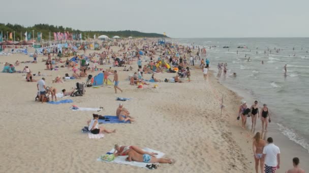 Palanga, Litouwen - 30 juli 2016: Mensen ontspannen, zonnebaden en zwemmen in het Palanga city strand tijdens een warme zomerdag. — Stockvideo