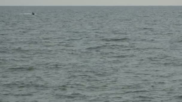Uomo su una moto d'acqua in mare . — Video Stock
