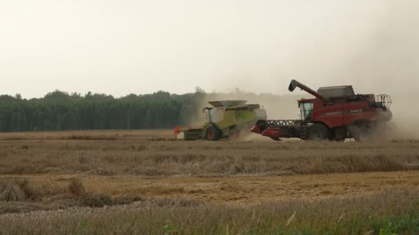 2016 21 de agosto, Lituânia, região de Ukmerges. Máquina de duas colheitadeiras para colher o trabalho do campo de trigo. Agricultura — Vídeo de Stock