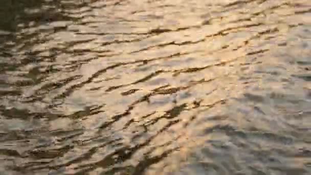 Incroyable texture de près de la nature de l'ondulation en cours d'exécution sur l'eau. Fond mouvant cinématographique avec effet méditatif et hypnotique . — Video