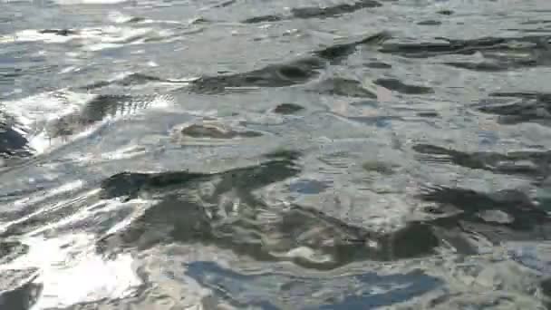 슬로우 모션의 호수 표면 가까이. — 비디오