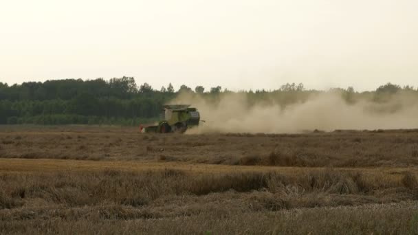 2016 21 augustus, Litouwen, Ukmerges regio. Harvester machine voor het oogsten van tarwe veld werken. Landbouw — Stockvideo